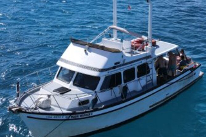 Private Turtle Canyon Snorkel Tour - Up to 6 Passengers - Why the crew experience matters (and the names people remember)