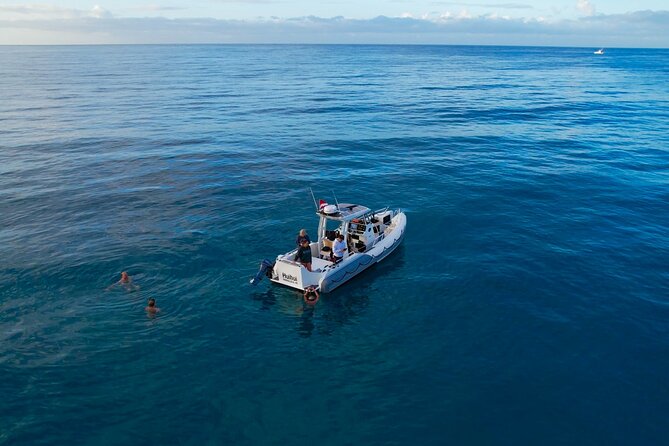 Private Turtle Snorkel & Cruise Waikiki - Price and Value: Is $750 Per Person Fair?