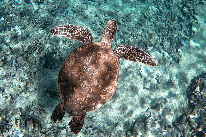 Private Waikiki Boat Charter – Create Your Own Ocean Experience - Who this charter fits best (and who should rethink it)