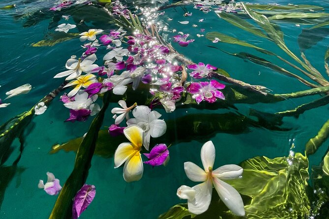 Private Waikiki Boat Charter – Create Your Own Ocean Experience - Weather and timing: the small detail that can change everything