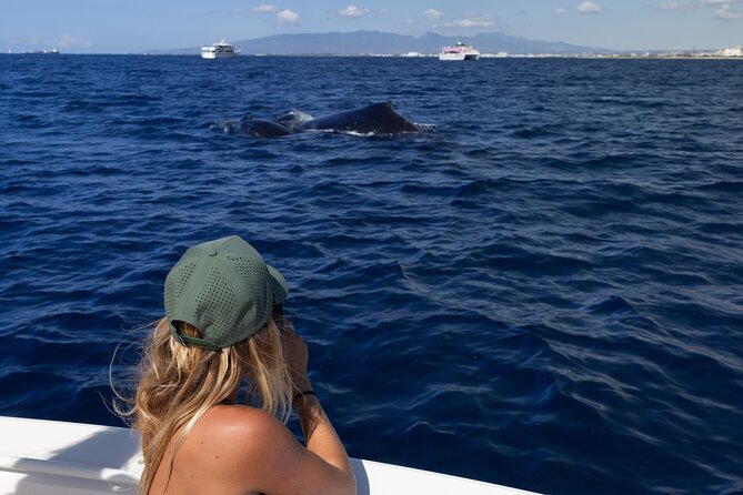Private Whale Watching Activity: 6 passengers max - Weather reality: humpback watching depends on the ocean