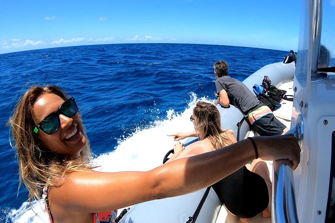Private Whale Watching Adventure - Quick hits before you go