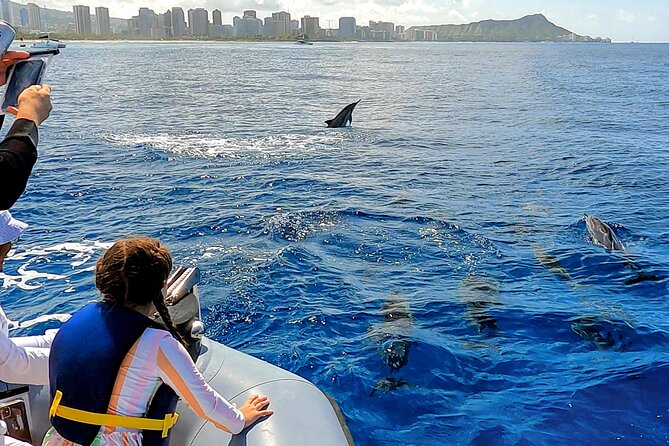 Private Whale Watching Adventure - Morning vs afternoon cruise: how to pick the time
