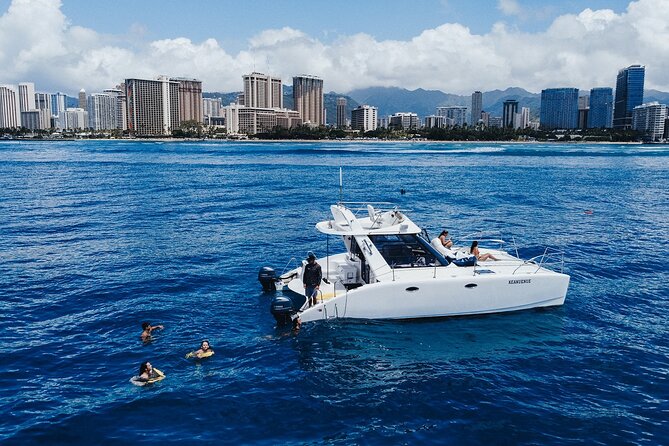 Private Whale Watching and Coastal Swimming Tour Honolulu - Price and value: $749 for up to 6 on a private charter