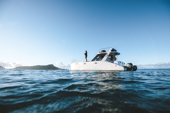 Private Whale Watching and Coastal Swimming Tour Honolulu - Humpback spotting from the water: what you can realistically hope for