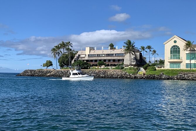 Private Whale Watching and Dolphin Excursion - Views and Timing: What Makes This Feel Like a Short Win on Oahu
