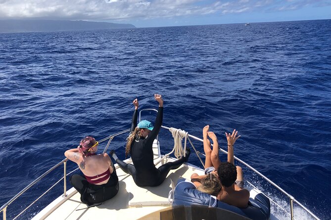 Private Whale Watching Safari from North Shore Oahu - Value check: what $600 per group gets you (up to 6)