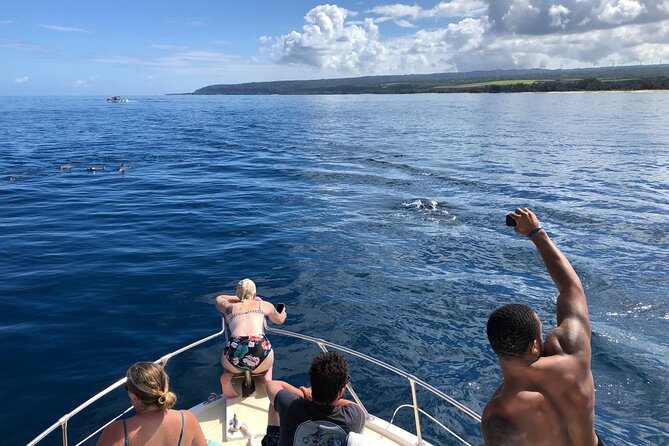 Private Whale Watching Safari from North Shore Oahu - Logistics that affect your day (without turning it into a hassle)