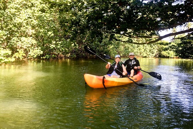 Rainforest River Kayak Self-Guided Kayak Tour - Pacing and Effort: What “Easy for All Levels” Really Means