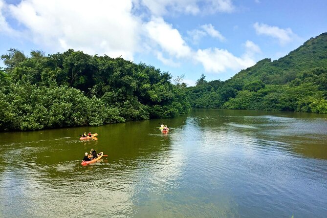 Rainforest River Kayak Self-Guided Kayak Tour - Price and Value: Is $82 Worth It on Oahu?