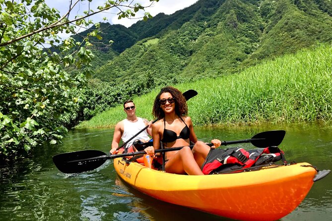 Rainforest River Kayak Self-Guided Kayak Tour - Gear, Safety, and the Dry-Bag Reality Check