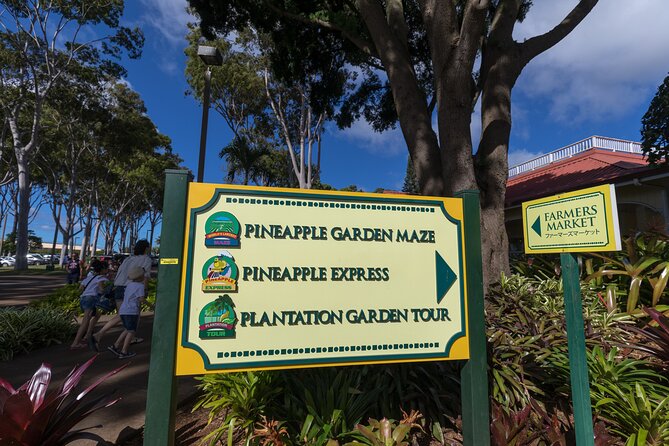 Real Hawaii Circle Island Tour - Getting Around: Pickup, 8 Hours, and a Pace You Can Handle