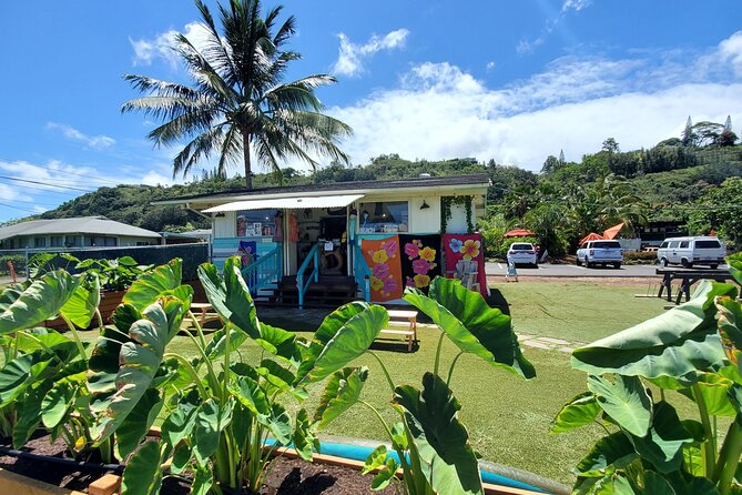 Round Trip North Shore Shuttle from Waikiki to Haleiwa Town / Haleiwa Harbor - The Ride North: Waimea Valley, Sharks Cove, Banzai Pipeline, Sunset Beach