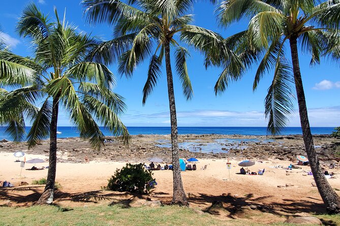 Round Trip North Shore Shuttle from Waikiki to Haleiwa Town / Haleiwa Harbor - Timing on Purpose: What 2 to 3 Hours Means in Real Life