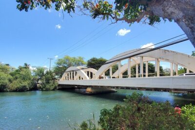Round Trip North Shore Shuttle from Waikiki to Haleiwa Town / Haleiwa Harbor - Haleiwa Town and Haleiwa Boat Harbor: Where the Day Becomes Yours