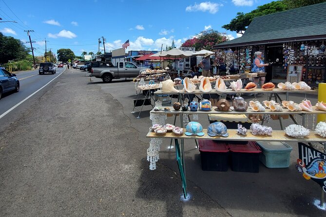 Round Trip North Shore Shuttle from Waikiki to Haleiwa Town / Haleiwa Harbor - Mobile Ticket and Getting What You Need Day-of