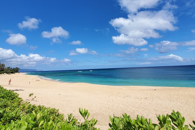 Round Trip North Shore Shuttle from Waikiki to Haleiwa Town / Haleiwa Harbor - What to Pack for Haleiwa and the North Shore Stops
