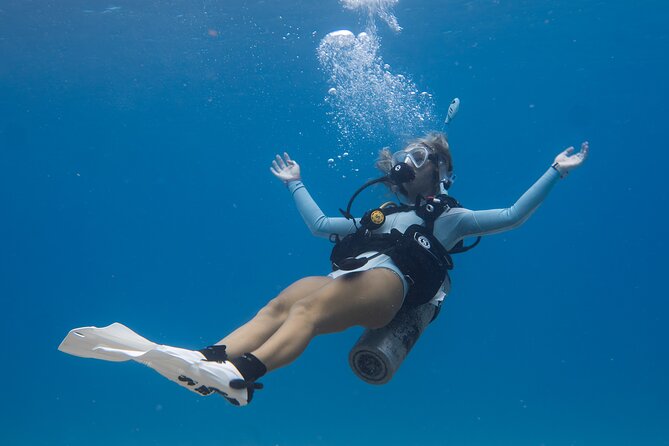 Scuba Dive at Electric Beach - Going at your pace without feeling rushed
