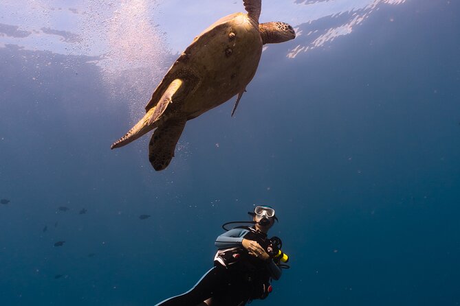 Scuba Dive at Electric Beach - After you surface: snacks, gear rinse, and action-camera memories