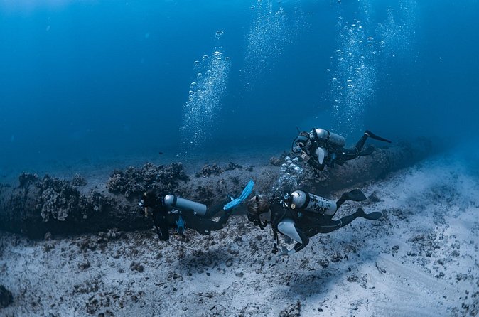 Scuba Dive at Electric Beach - Price and value: $145 per person, and what you’re really paying for