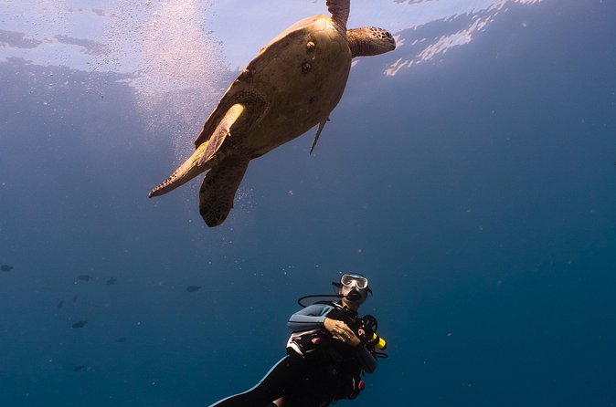 Scuba Dive at Electric Beach - Practical logistics that make the day smoother