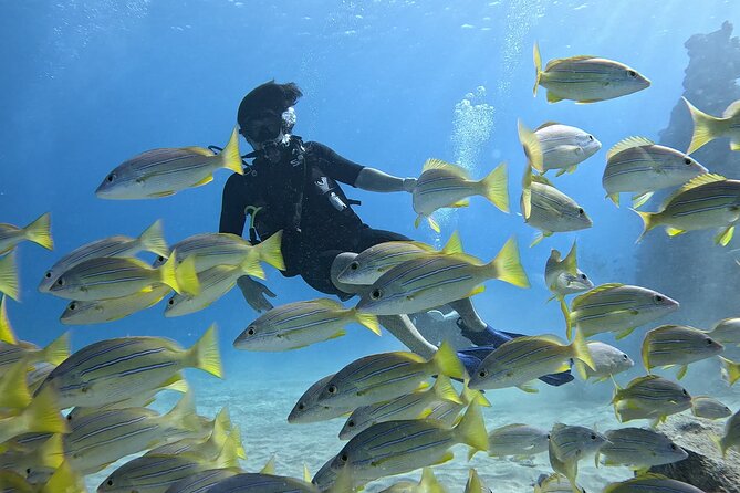 SCUBA Dive at Electric Beach with Photos -No Certification Needed - Key things that make Electric Beach’s first-time SCUBA session work