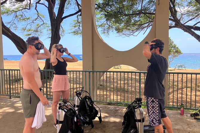 SCUBA Dive at Electric Beach with Photos -No Certification Needed - Gear and photos: included value that saves you money