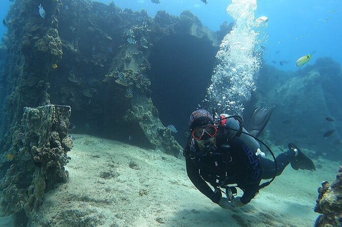 SCUBA Dive at Electric Beach with Photos -No Certification Needed - Timing, meeting point, and weather: the practical stuff that shapes your day