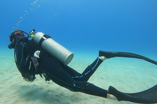 SCUBA Dive at Electric Beach with Photos -No Certification Needed - Should you book Electric Beach with photos?