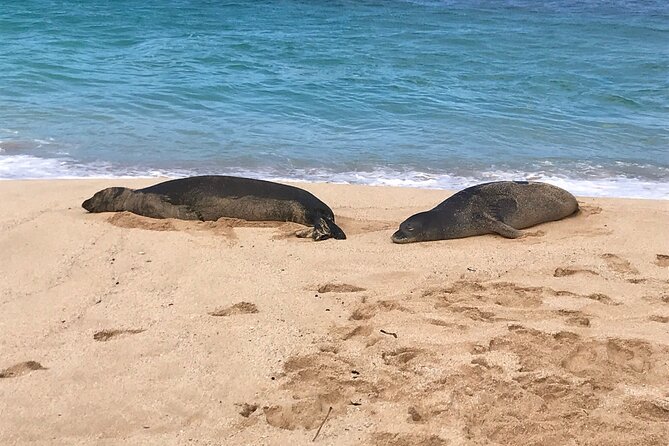 Sea / Eat & See The North Shore - Private Tour Option and Small Group Size: The Comfort Advantage