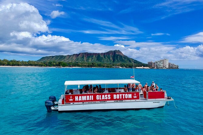 Sea Safari, Dolphins, Turtles and Waikiki Cruise - Kewalo Basin to Waikiki: a practical sea-safari hour