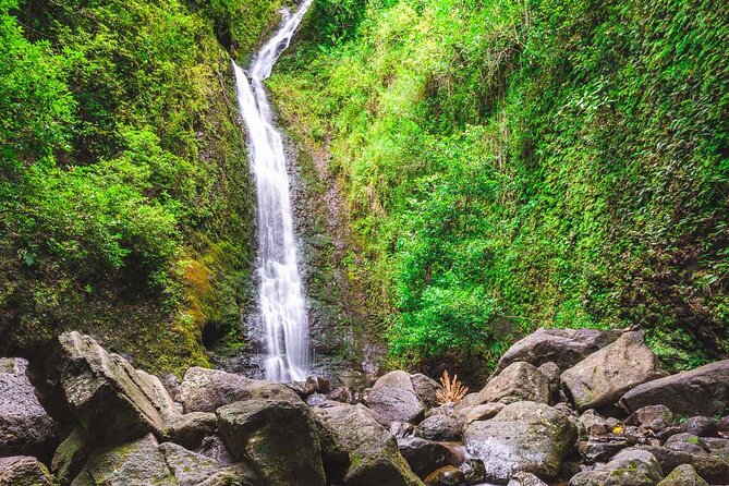 Self Guided Hike Trail to Nature Walk & Waterfall - Why Manoa Falls and Tantalus fit so well together