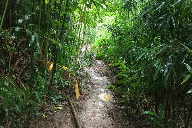 Self Guided Hike Trail to Nature Walk & Waterfall - Walking the route at your pace, with chances to pause for photos