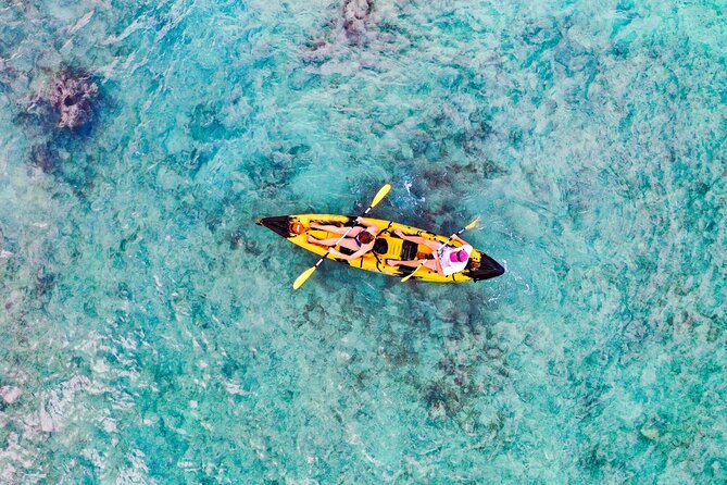 Self-Guided Kayaking Tour in Kailua Bay and Popoia Island - Who This Kailua Bay Kayak Day Fits Best