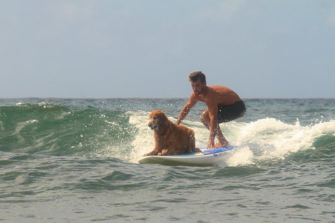 Semi-Private Surf Lesson - Equipment provided and certified safety you can feel