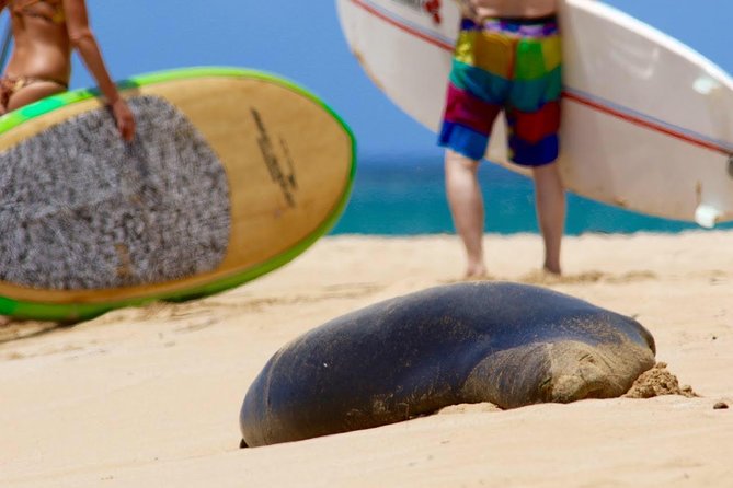 Semi-Private Surf Lesson - Price and value: is $125 a good deal for two hours?