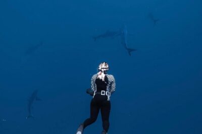 Shark Diving and Snorkeling in Oahu Hawaii - Small Group Limits (Six People) and Why It Matters