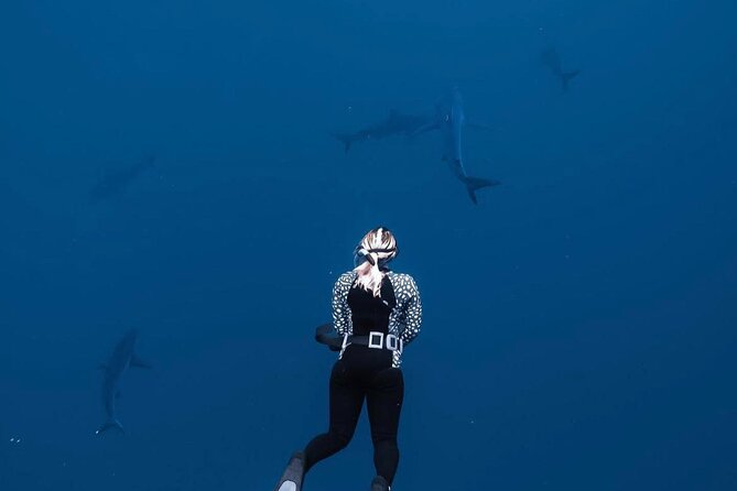 Shark Diving and Snorkeling in Oahu Hawaii - Small Group Limits (Six People) and Why It Matters
