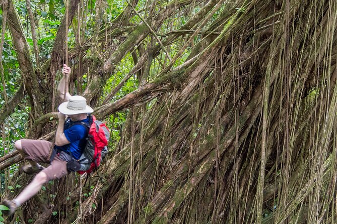 Skip the Crowds: Secret Oahu Half Circle Tour with a Local - Downtown Honolulu in 1.5 hours: big landmarks without the all-day trap