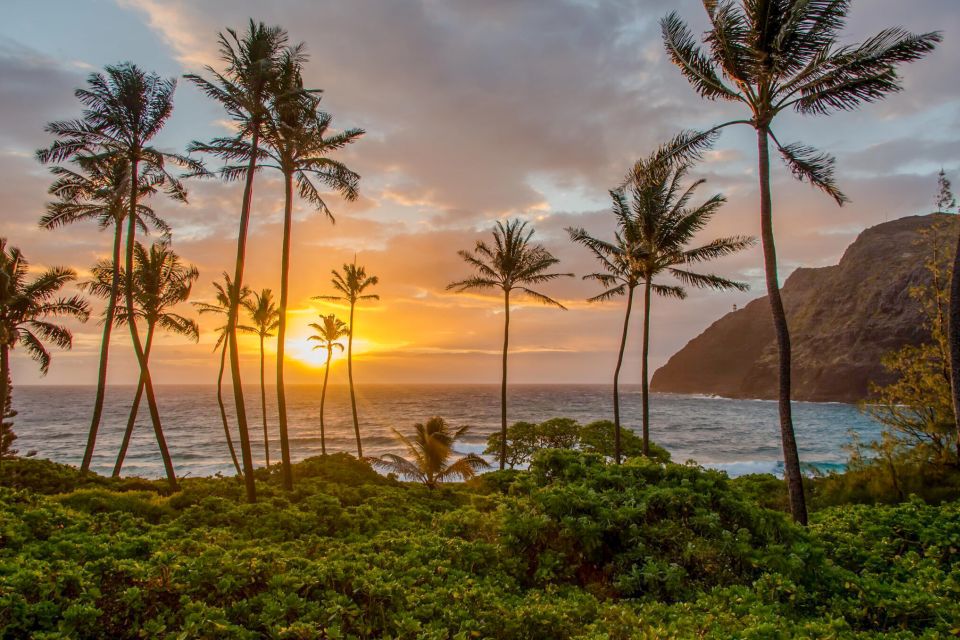 Small Group 3 Hour Honolulu Sunrise Tour with Malasadas - Key Things That Make This Honolulu Sunrise Tour Work