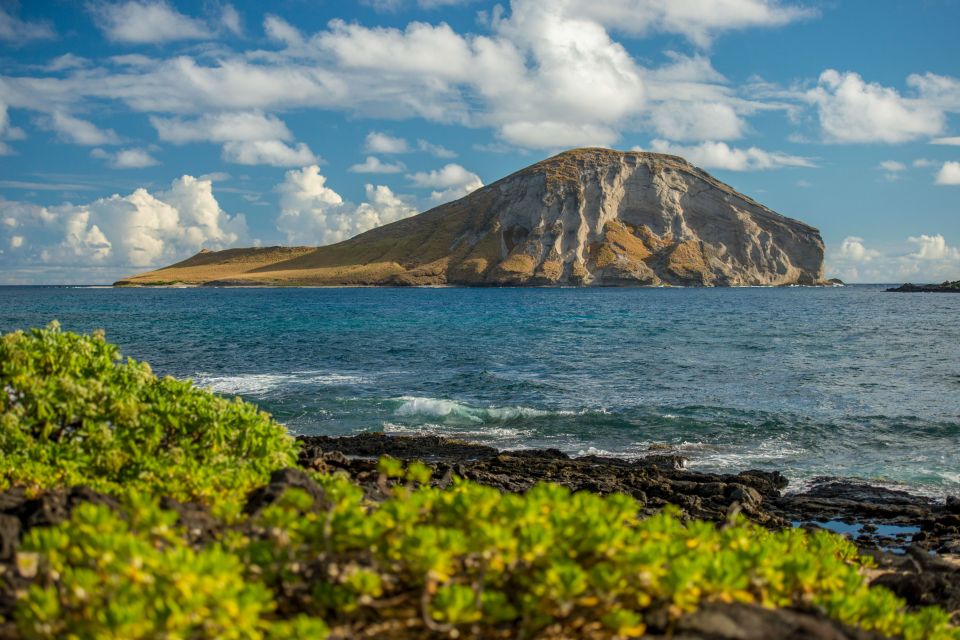 Small Group 3 Hour Honolulu Sunrise Tour with Malasadas - Makapuʻu Lookout and Halona Blowhole: Short Stops, Big Payoff