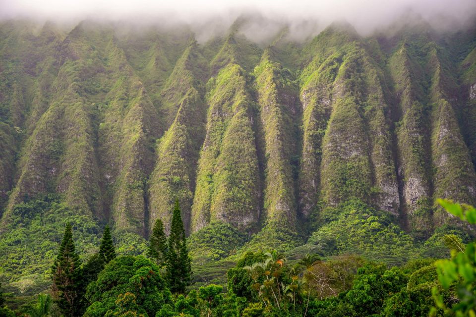 Small Group 3 Hour Honolulu Sunrise Tour with Malasadas - Who This Sunrise Photo Tour Fits Best