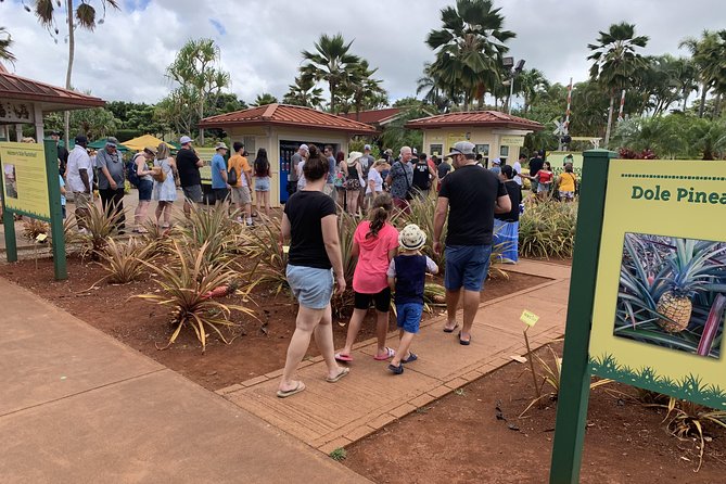 Small Group-Oahu Tour, Dole Plantation, Northshore, Sunset Beach - Haleiwa town in 30 minutes: surf shops, galleries, and shave ice
