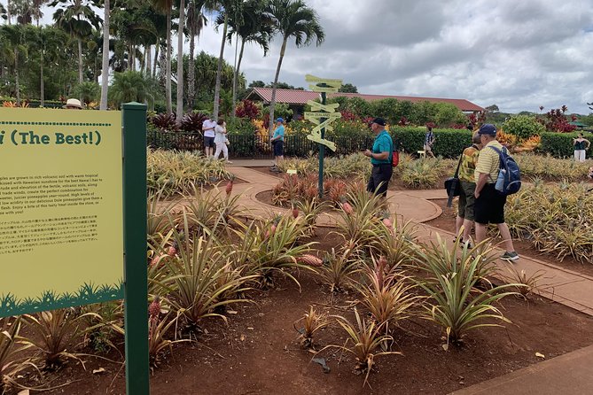 Small Group-Oahu Tour, Dole Plantation, Northshore, Sunset Beach - Aliʻiolani Hale: the open-air capitol stop you didn’t know you’d love