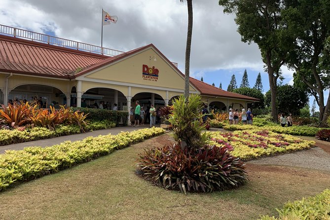 Small Group-Oahu Tour, Dole Plantation, Northshore, Sunset Beach - Polynesian Cultural Center: hula practice, show seats, and guided momentum