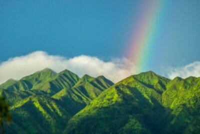 Small Group Tour of Honolulu Scenic Vistas with Sunset - Waikiki hotel pickup: the easiest part, if you confirm it
