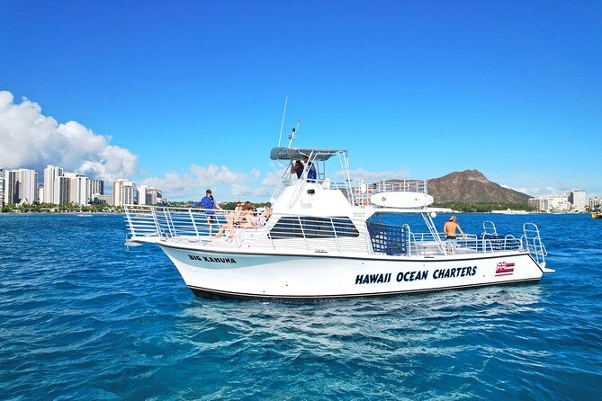 Small group Turtle Snorkel (16 people max): Sightings Guaranteed - Key points I’d circle before you book