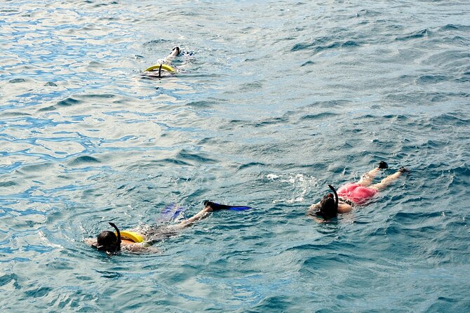 Small group Turtle Snorkel (16 people max): Sightings Guaranteed - Stop 2: Waikiki Reef for Sea Turtles and Reef Fish
