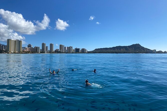 Small group Turtle Snorkel (16 people max): Sightings Guaranteed - Drinks, Hydration, and the Little Things That Keep the Day Fun