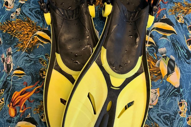 Snorkel Gears near Hanauma Bay - Hanauma Bay entry is separate: fees, video steps, and Monday/Tuesday closures